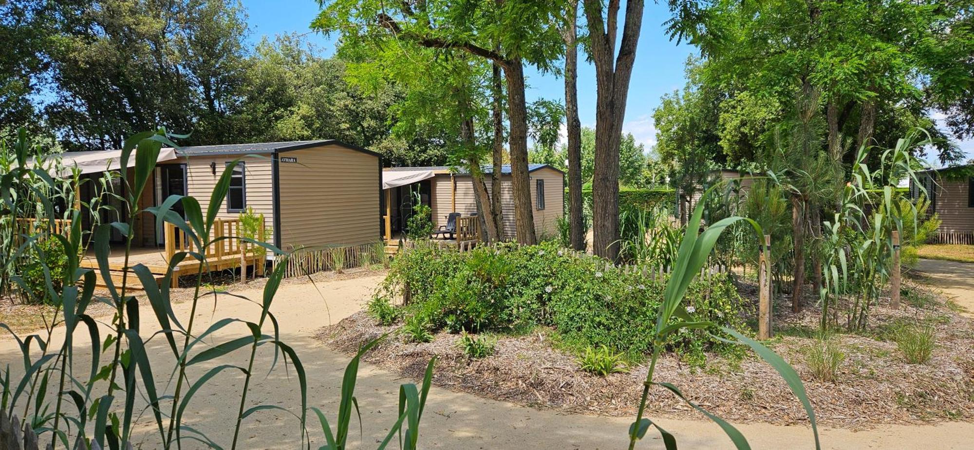 Camping Le Bois Verdon Saint-Jean-de-Monts Eksteriør billede