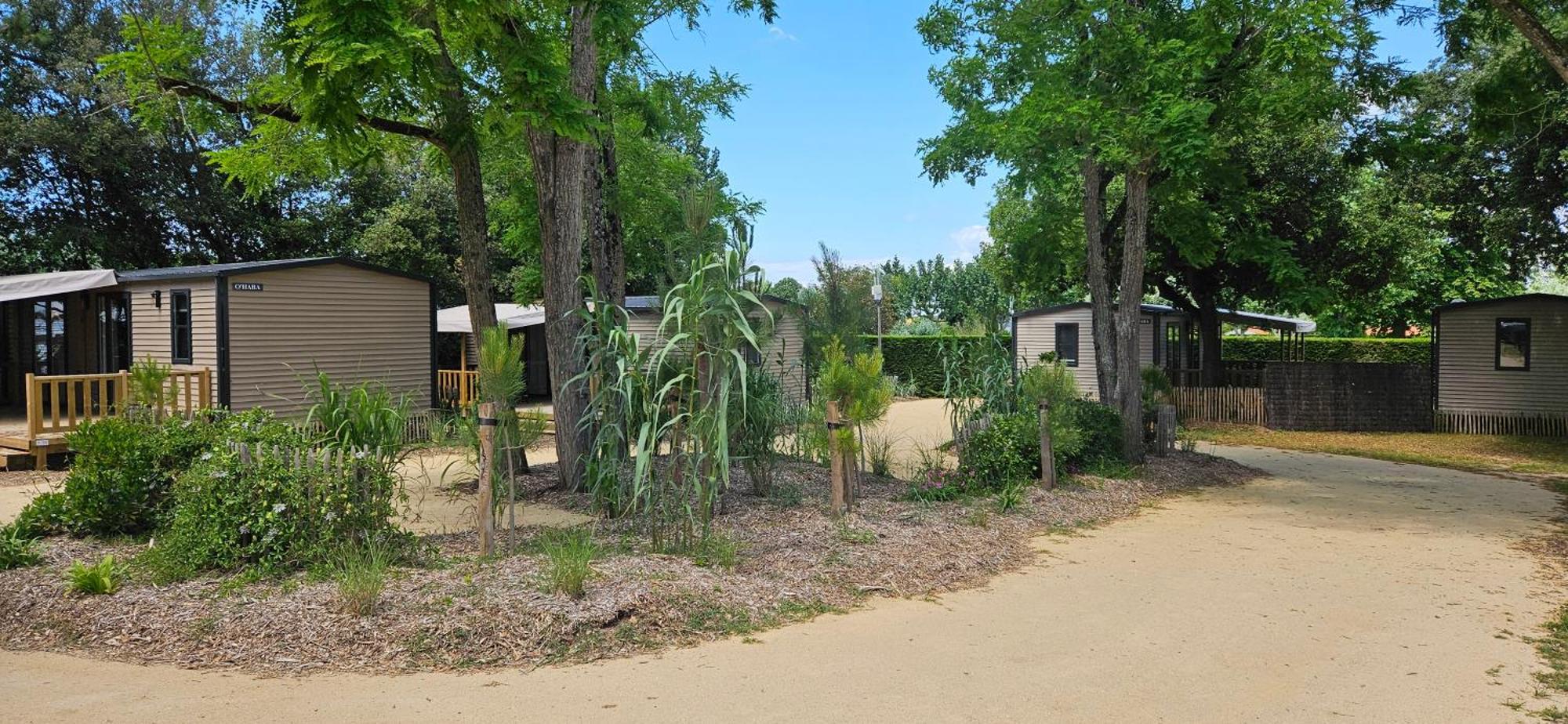 Camping Le Bois Verdon Saint-Jean-de-Monts Eksteriør billede