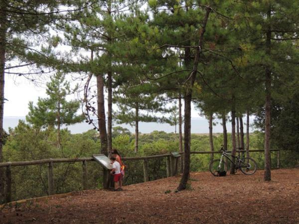 Camping Le Bois Verdon Saint-Jean-de-Monts Eksteriør billede